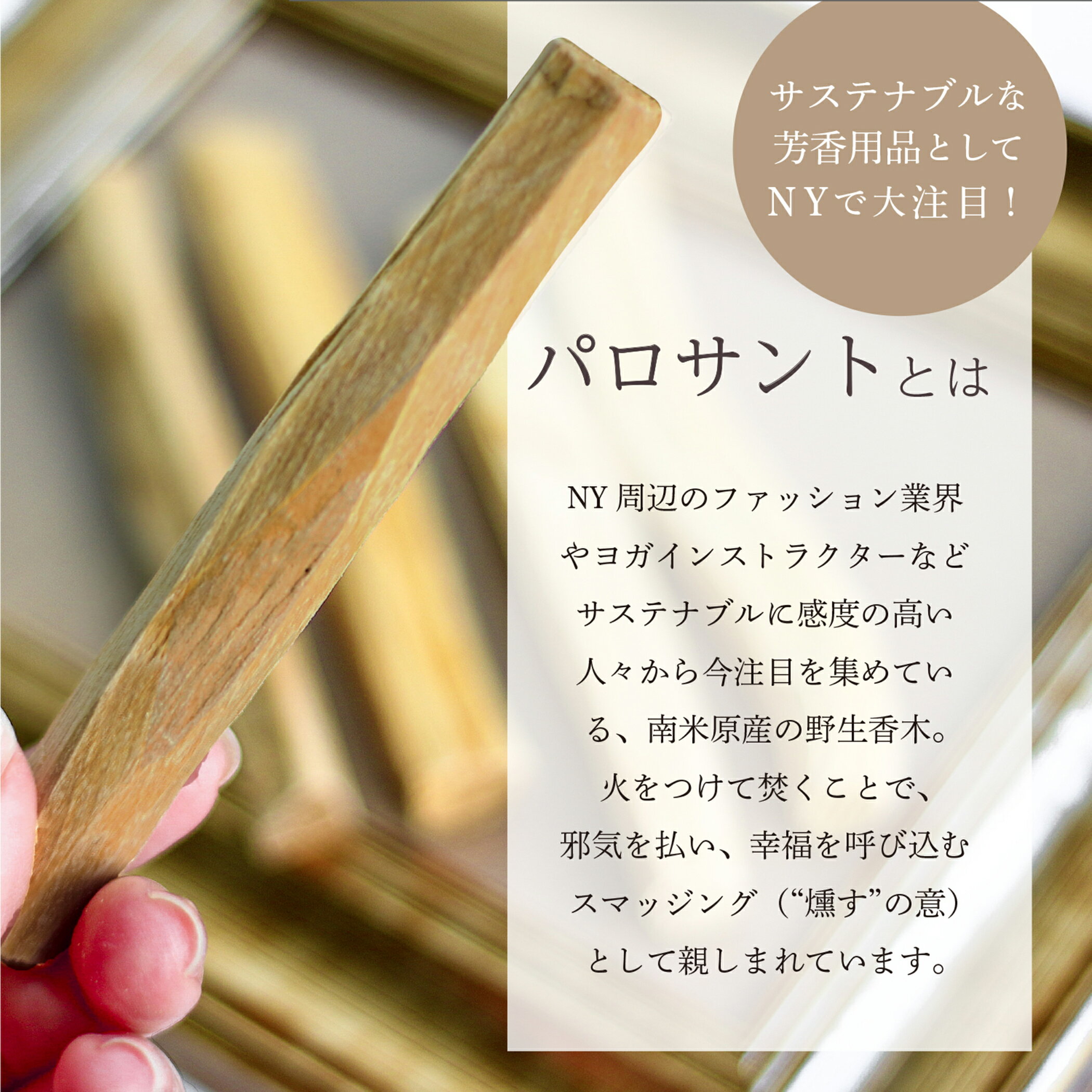 G:Land �ѥ������ ���󥻥� ���� ���� ���ޥå��󥰥��ƥ��å� �ץ쥼��� �ۡ��꡼���å� ���� ������ ��ʪ ���ʤ��� ���� ���󥻥� �����ɥ� ������� ������ �����ƥʥ֥� ����̵��