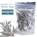 G:Land ホワイトセージ 10g 浄化 天然無農薬 カリフォルニア産 聖なるハーブ リラックス 瞑想 ヨガ 空間浄化 邪気払い パワーストーン ハーブ ルー...