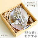 【はじめての方に】G:Land ホワイトセージ シェルプレートセット 10g ドライフラワー 聖なるハーブ リラックス 浄化 瞑想 ヨガ 空間浄化 邪気払い パ...