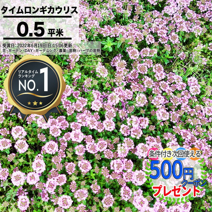 ［楽天1位受賞］［8枚/約0.5平米］マット マットプランツ タイムロンギカウリス 25×25cm 植物 お花 ハーブ 花マット