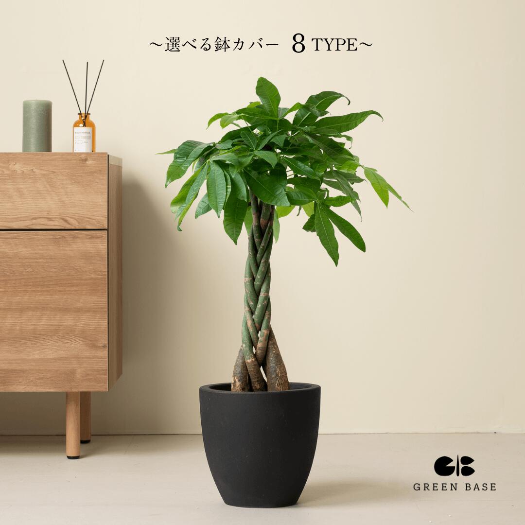 【選べる植木鉢セット】初心者でも育てやすい観葉植物！ パキラ 7号 8号 観葉植物 鉢 鉢付き 鉢植え インテリアグリーン 室内 おしゃれ 初心者 育てやすい リビング 寝室 かわいい ギフト 送料無料