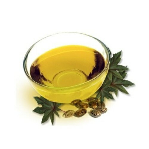 Trader Joe's Spa 100% Pure Jojoba Oil ホホバオイル 118ml 100％ ピュア&天然 オーガニック　 スキンケア 美容オイル キャリアオイル 保湿 エイジングケア 無添加 マッサージオイル ヘアケア 妊娠線 【追跡可能海外メール便】 2