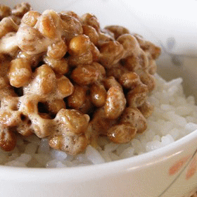 送料込・ごはんにのせて食べる のっけやっこ ごま味噌 6個セット