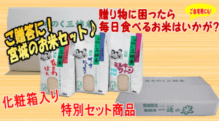 【宮城米】詰合せ6kg宮城県産【宮城県_物産展】【送料無料】【0501_free_f】キャッシュレス5%還元対象商品!