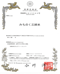 【宮城米】詰合せ6kg宮城県産【宮城県_物産展】【送料無料】【0501_free_f】キャッシュレス5%還元対象商品!