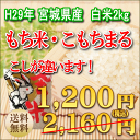 平成29年宮城県産米 もち米こもちまる 2kg