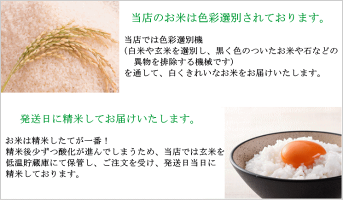 ササニシキ25kg宮城県産【宮城県_物産展】【送料無料】【0501_free_f】