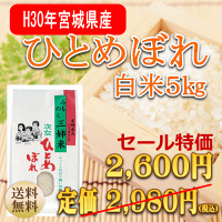 新米ひとめぼれ5kg宮城県産【宮城県_物産展】【送料無料】【0501_free_f】