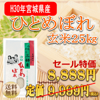 新米ひとめぼれ5kg宮城県産【宮城県_物産展】【送料無料】【0501_free_f】