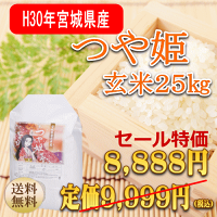 新米つや姫5kg宮城県産【宮城県_物産展】【送料無料】【0501_free_f】