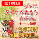 米 もち米 みやこがねもち 5kg 宮城県産【送料無料】【0...