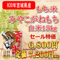 米もち米こもちまる5kg宮城県産【送料無料】【0501_free_f】
