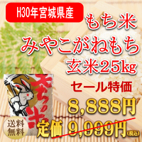 米もち米こもちまる5kg宮城県産【送料無料】【0501_free_f】