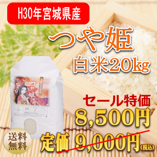 つや姫 20kg 宮城県産【宮城県_物産展】【送料無料】【0501_free_f】