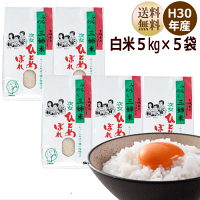 米ひとめぼれ5kg宮城県産【宮城県_物産展】【送料無料】【0501_free_f】