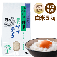 新米ササニシキ5kg宮城県産【宮城県_物産展】【送料無料】【0501_free_f】