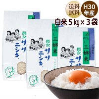 新米ササニシキ5kg宮城県産【宮城県_物産展】【送料無料】【0501_free_f】