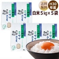 新米ササニシキ5kg宮城県産【宮城県_物産展】【送料無料】【0501_free_f】