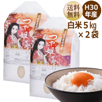 新米つや姫10kg宮城県産【宮城県_物産展】【送料無料】【0501_free_f】