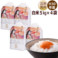 新米つや姫20kg宮城県産【宮城県_物産展】【送料無料】【0501_free_f】