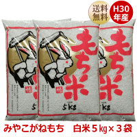 米もち米こもちまる5kg宮城県産【送料無料】【0501_free_f】