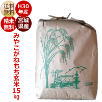 米もち米こもちまる5kg宮城県産【送料無料】【0501_free_f】