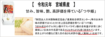 【令和元年産】つや姫 4.5kg×2袋 白米9kg炊き上がり6升分宮城県産【宮城県_物産展】【送料無料】【減農薬米】キャッシュレス5％還元対象商品！