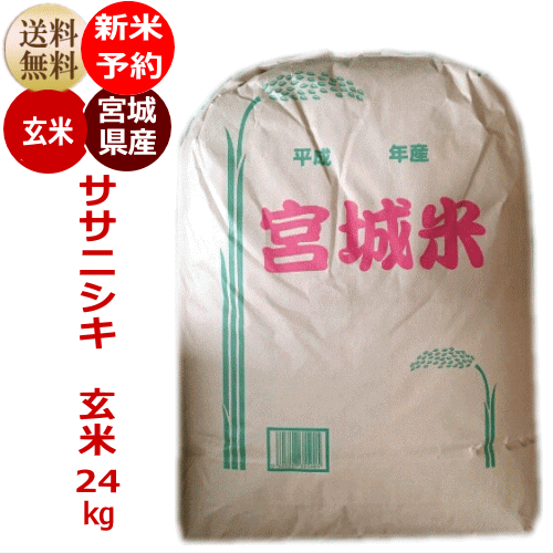 【新米予約特価】ササニシキ 玄米24kg×1袋 炊き上がり約14升分宮城県産【宮城県...