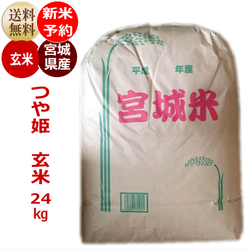 【新米予約特価】つや姫 玄米24kg×1袋 炊き上がり約14升分宮城県産【宮城県_物...