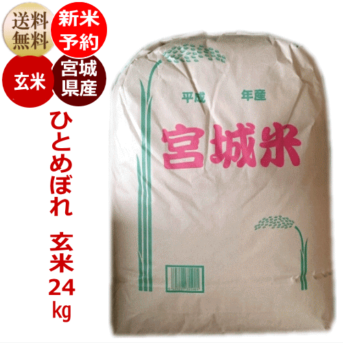 【新米予約特価】ひとめぼれ 玄米24kg×1袋炊き上がり約14升分宮城県産【宮城県_...