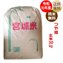 【令和元年産】つや姫 玄米30kg×1袋宮城県産【宮城県_物産展】【送料無料】【減農薬米】【沖縄・離島へは別途送料が加算されます】