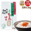 【令和元年産】ひとめぼれ 4.5kg 炊き上がり3升分宮城県産【宮城県_物産展】【送料無料】【減農薬米】キャッシュレス5％還元対象商品！