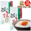 【令和元年産】ひとめぼれ 4.5kg×2袋白米9kg炊き上がり6升分 宮城県産【宮城県_物産展】【送料無料】【減農薬米】キャッシュレス5％還元対象商品！