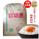 【令和元年産】ミルキークイーン 白米24kg×1袋 小分けできます！炊き上がり16升分宮城県産【宮城県_物産展】【送料無料】【減農薬米】キャッシュレス5％還元対象商品！