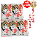 【令和元年産】 もち米 みやこがねもち 4.5kg×5袋22.5kg（15升） 宮城県産【送料無料】【減農薬米】キャッシュレス5％還元対象商品！