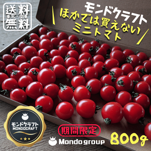 予約受付開始！【トマト嫌いだから作れる・高糖度トマト】収穫後8時間以内に出荷甘い ミニトマト約800g 産地直送東北・関東・信越地域は【送料無料】※5月下旬頃よりご予約受付順発送となります