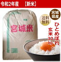 【新米】【令和2年産】ひとめぼれ玄米30kg×1袋小分けでき...