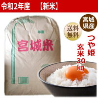 つや姫玄米24kg×1袋炊き上がり約14升分宮城県産【宮城県_物産展】【送料無料】【0501_free_f】