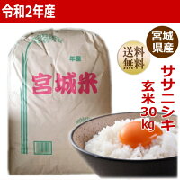 【新米予約】【令和2年産】ササニシキ玄米30kg宮城県産【宮城県_物産展】【送料無料】【減農薬米】