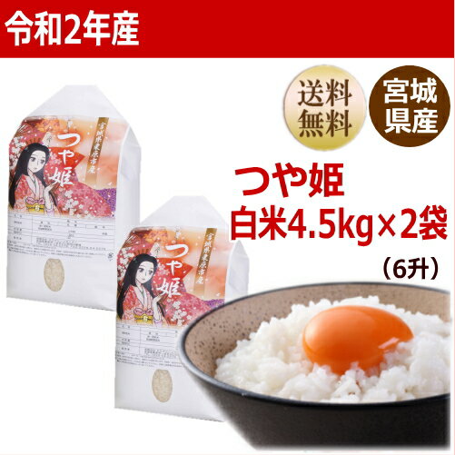 【令和2年産】つや姫 4.5kg×2袋 白米9kg炊き上がり6升分宮城県産【宮城県_物産展】【送料無料】【減農薬米】