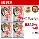 【令和2年産】 もち米 みやこがねもち 4.5kg×4袋18kg（12升） 宮城県産【送料無料】【減農薬米】