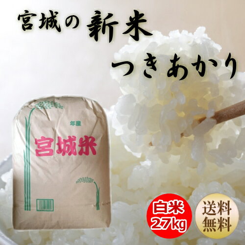 【新米】【令和4年宮城米】つきあかり白米27kg×1袋小分けできます！宮城県産【宮城...