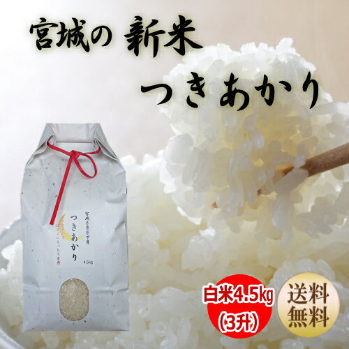 【新米】【令和4年宮城米】つきあかり 4.5kg 炊き上がり3升分宮城県産【宮城県_...