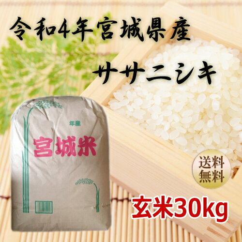 【令和4年宮城米】 贈答 玄米 ギフト 30kg ササニシキ 玄米30kg 小分けできます！ 宮城県産 令和4年産 お米 新米 【宮城県_物産展】【送料無料】【沖縄への送料は別途1,320円（税込）加算されます】【減農薬米】宮城県WEB物産展 ポイントのサムネイル