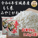 【令和4年宮城米】 もち米 みやこがねもち 4.5kg×2袋9kg（6升） 宮城県産【送料無料】【減農薬米】