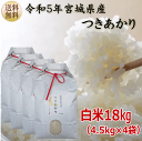 yߘa5N{āz 4.5kg~4ܔ18kg オ12{錧Yy{錧_YWzyz