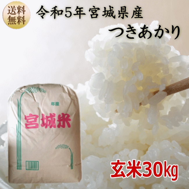  ߘa5N{ 茺30kg~1܏ł܂ {錧Y {錧_YW     Eւ͕ʓrZ܂(ւ̑1,320~ ō Z܂) {錧WEBYW