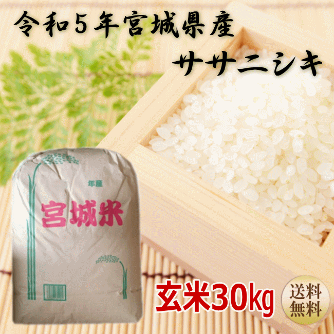 宮城産 ササニシキ 【令和5年宮城米】 贈答 玄米 ギフト 30kg ササニシキ 玄米30kg 小分けできます！ 宮城県産 お米 新米 【宮城県_物産展】【送料無料】【沖縄への送料は別途1,320円（税込）加算されます】宮城県WEB物産展