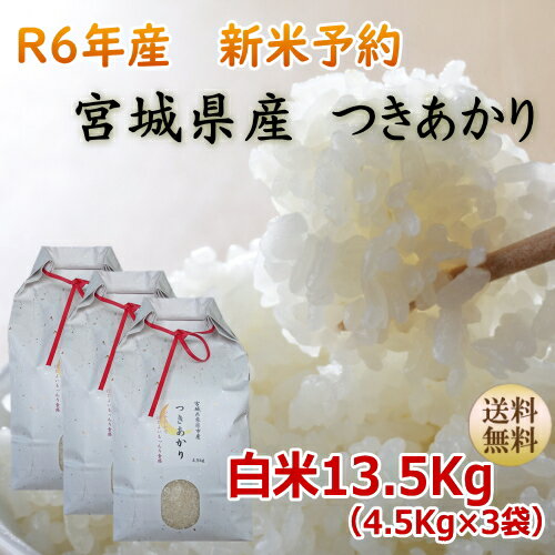 新米予約【令和6年宮城米】つきあかり 4.5kg×3袋白米13.5kg炊き上がり9升分宮城県産【宮城県_物産展】【送料無料】のサムネイル