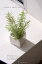 ミニミニ四角鉢とフロスト葉のローズマリー鉢デザイン選択可【造花】【ミニ観葉植物】【人工観葉植物】【インテリアグリーン】【フェイクグリーン】【光触媒】【楽ギフ_包装】05P24Oct15